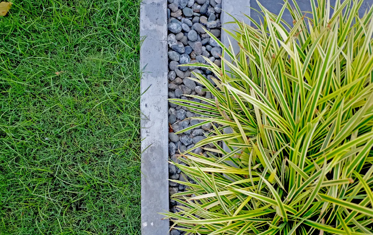 Suraj Aureva Thriving Green Space